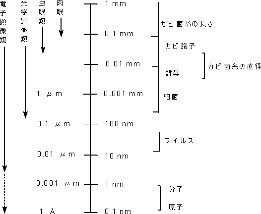 カビ対策マニュアル 基礎編 文部科学省