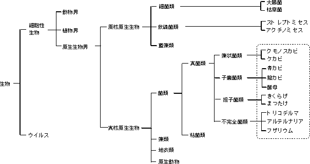 カビ対策マニュアル 基礎編 文部科学省