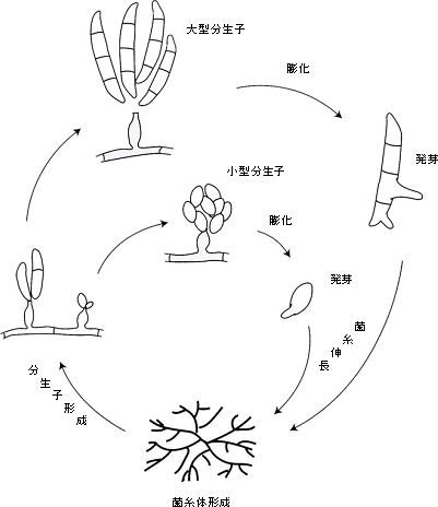 カビ対策マニュアル 基礎編 文部科学省