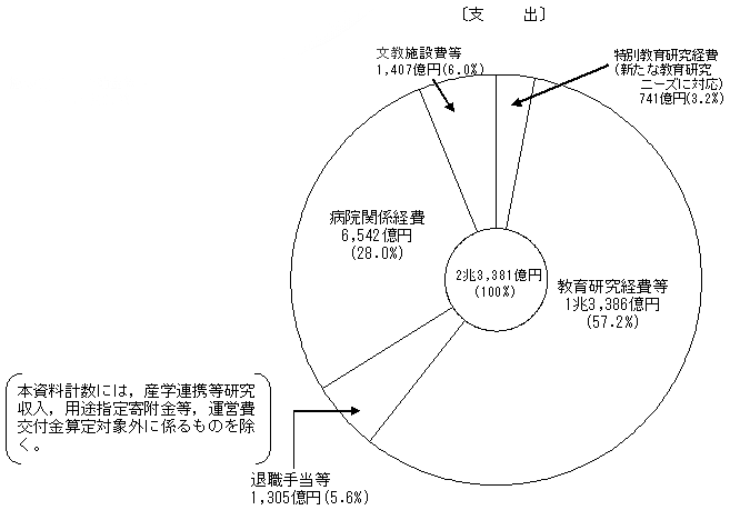 （イ）国立大学法人予算の構成（2004年度）　支出のグラフ