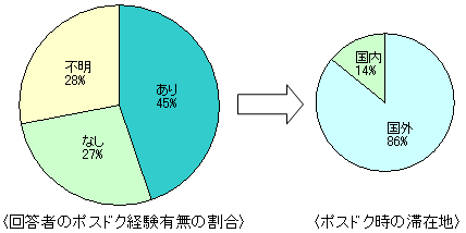 グラフ ポスドク経験の有無