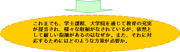 これまでも、学士課程、大学院を通じて教育の充実が提言され、様々な取組がなされているが、依然として厳しい指摘があるのはなぜか。また、それに対応するためにはどのような方策が必要か。