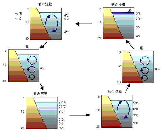 図3　四季による湖水の温度変化