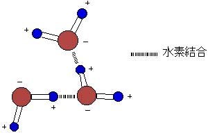 水素結合（水分子間を結ぶ引力）の図