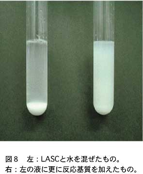 左：LASCと水を混ぜたものの写真　右：左の液に更に反応基質を加えたものの写真