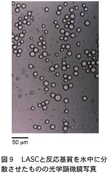 LASCと反応基質を水中に分散させたものの光学顕微鏡写真
