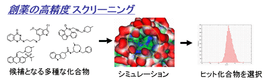 図:創薬の高精度スクリーニング