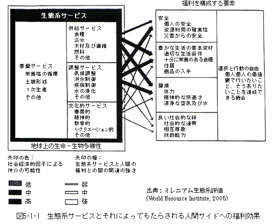 図5-1-1　生態系サービスとそれによってもたらされる人間サイドへの福利効果