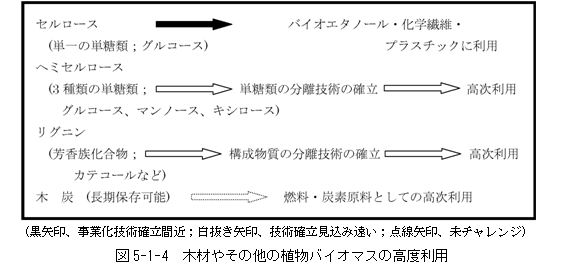 図5‐1‐4　木材やその他の植物バイオマスの高度利用