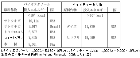 表4　バイオ燃料