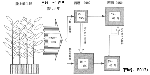 図6　陸上植生バイオマスの人類による利用率の時代的な変化モデル