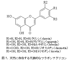 図7. 天然に存在する代表的なフラボンアグリコ