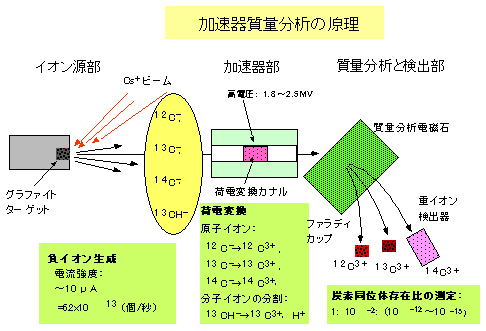 加速器質量分析による14C測定の原理図