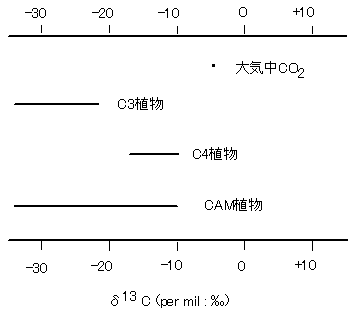 大気中CO2と植物の炭素安定同位体比の図