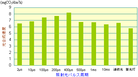 図9　パルス光がサラダ菜の光合成速度に与える影響