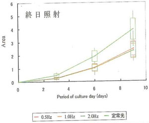 図9　終日照射