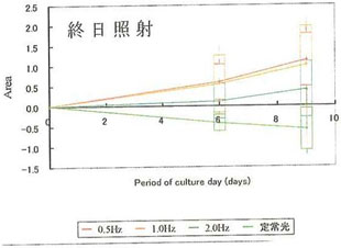 図10　終日照射