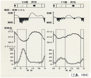 図7　一般男性と高齢者の生体リズムの比較