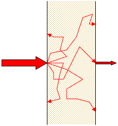 図1　生体組織による光の（b）散乱