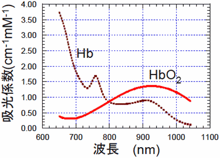 図4　酸素化ヘモグロビン（Hb）と脱酸素化ヘモグロビン（HbO2）の吸収スペクトル