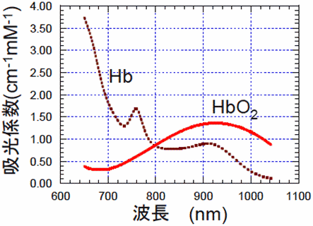 第3章 健康なくらしに寄与する光 3 光を用いた非侵襲生体診断 文部科学省