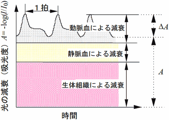 図5　パルスオキシメータの原理図