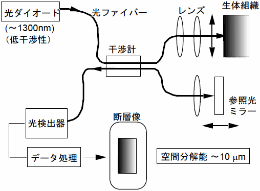 図6　OCT（Optical Coherence Tomography：光干渉断層画像）の原理図