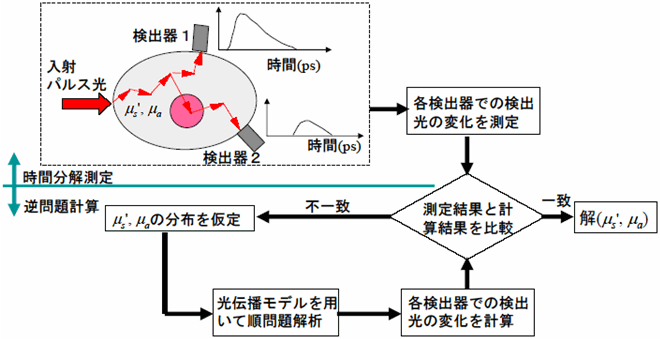 図11　拡散光トモグラフィー（DOT）のアルゴリズム概念図