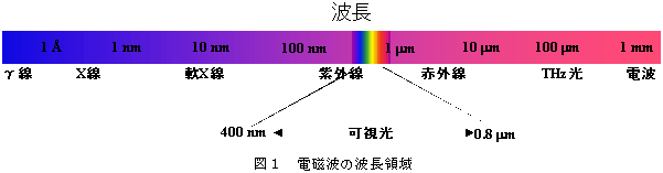 図1　電磁波の波長領域