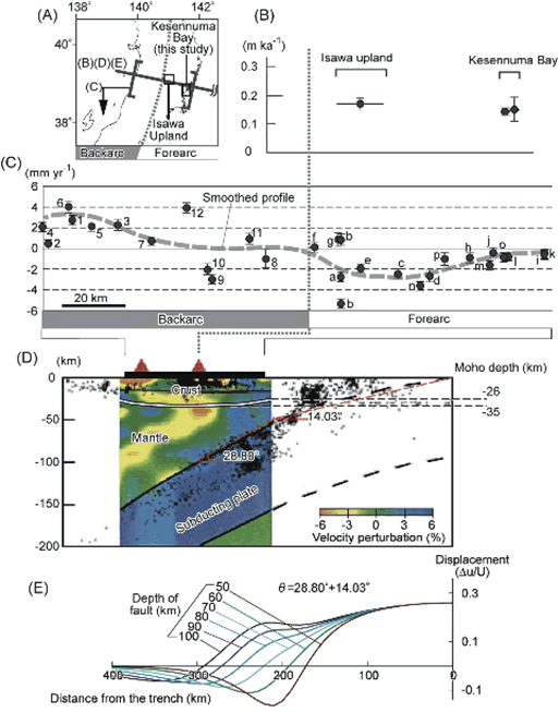 図1　東北日本における長期および短期上下変動プロファイル。 （A）東北日本弧中央部の断面作成位置図（B）第四紀 後期における隆起速度。河成段丘面および海成段丘面の現地調査に より得られたもの。（C）GPS連続観測から得られた短 期的上下変動。個々のデータに関するエラーバーは99％信頼区 間を示す。東北日本弧の中央部を南北に走るヒンジライン（破線） が想定され、前弧域では沈降傾向、背弧域では隆起傾向にある。本研究で得られた傾向は既往の研究成果と整合する。（D）P波速度構造のプロファイル（Nakajima et al。、 2001）、モホ面の深度はNakajima et al。 （2002）による。暖色および寒色はそれぞれ低速度域、高速度域を表す。赤三角は火山、黒点は震源を示す。図中の14。03°、 28。80°はそれぞれ太平洋プレートの沈み込み角度を示す。（E）断層上端深度による上下変位プロファイル。du/Uは断層変位量（U）により正規化された地表での上下変位量（du）を示す。モデルとなった断層は（D）赤破線に示すように、深さ50kmまでは傾斜14。03°、それ以深の100kmまでは28。80°と設定した（Matsu'ura et al., 2009）。