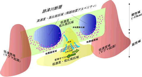 図2：跡津川断層総合集中観測から得られた内陸地震における応力集中の概念モデル（東京大学地震研究所［課題番号：1404］）。