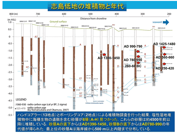 図19.志摩半島志島低地で得られた堆積物の柱状図（産業技術総合研究所［課題番号：5006］）。