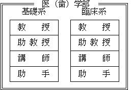 （参考）教員の帰属　医（歯）学部