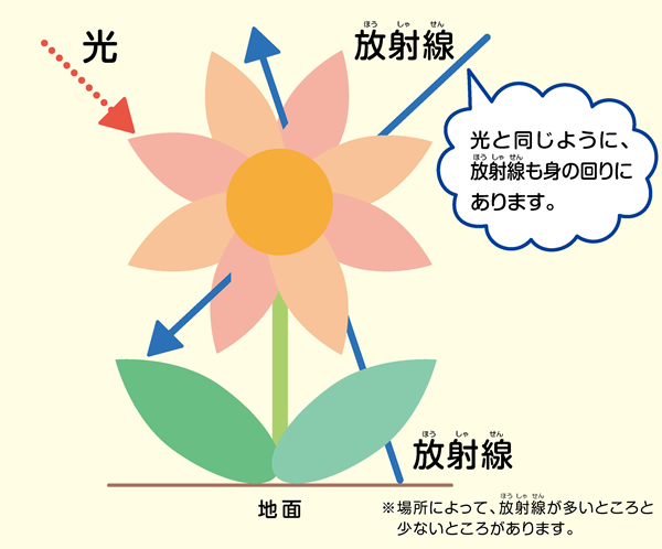 光と放射線の比較