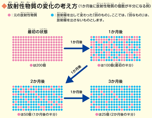 放射性物質の変化の考え方（1か月後に放射性物質の個数が半分になる例）