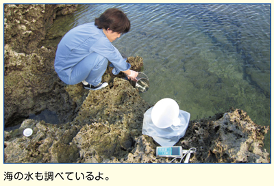 海の水の調査
