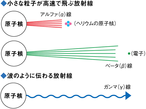 小さな粒子が高速で飛ぶ放射線（アルファ線、ベータ線）、波のように伝わる放射線（ガンマ線）