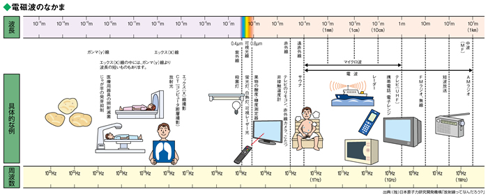 電磁波のなかま