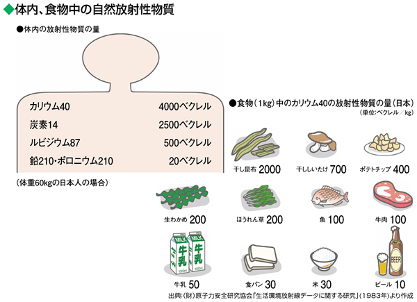 体内、食物中の自然放射性物質