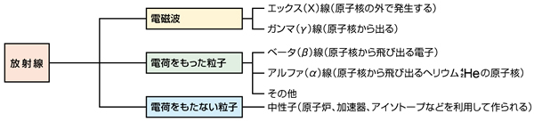 主な放射線の種類