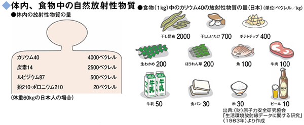 体内、食物中の自然放射性物質