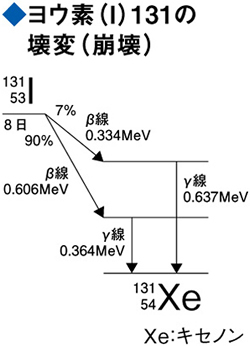 ヨウ素（I）131の壊変（崩壊）