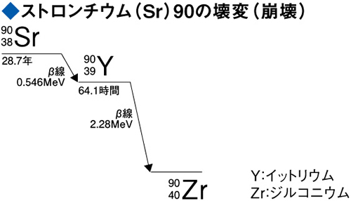 ストロンチウム（Sr）90の壊変（崩壊）