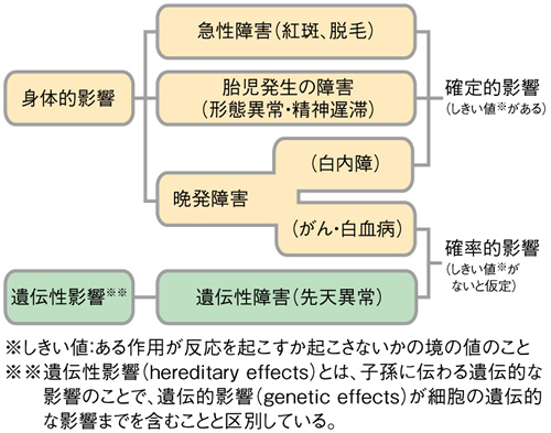 放射線被ばく影響