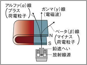 放射線の種類と磁石の影響