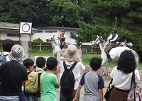 古式馬術(打毬(だきゅう))写真