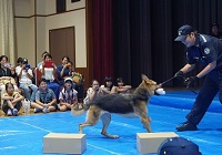 麻薬探知犬を知ろう!写真