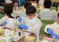 くすりはどうやって働くのかな?写真
