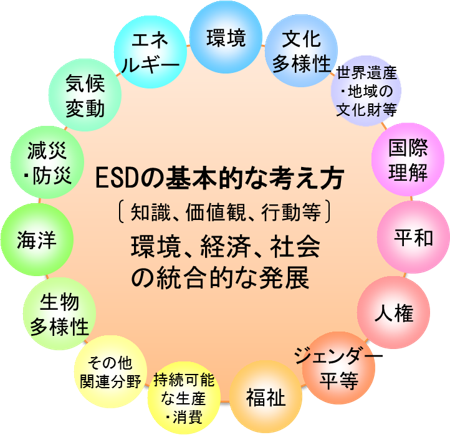 ESDの概念図