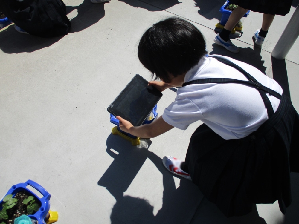 写真で記録を残す様子